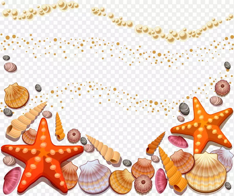 贝壳海螺夹艺术-海滩