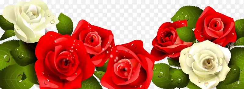 祝你生日快乐，玫瑰贺卡涂红白玫瑰绿叶