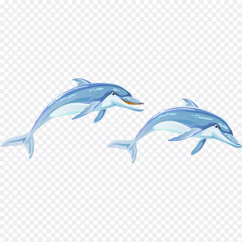 普通宽吻海豚动物手绘海豚
