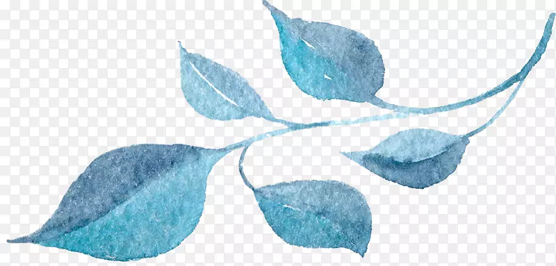 水彩画花蓝-透明背景花卉植物水彩花