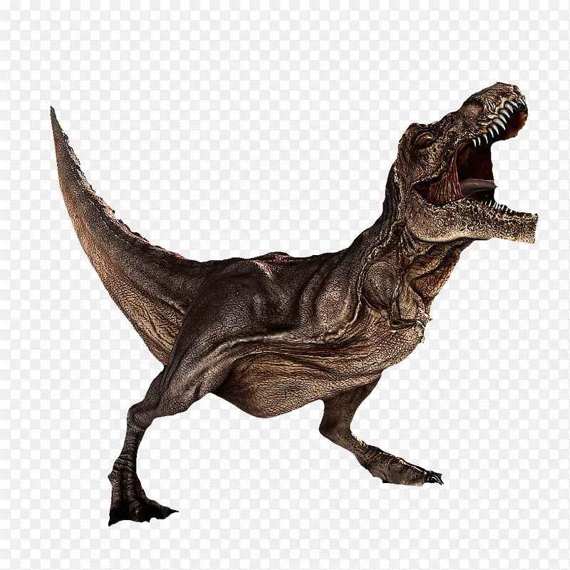 恐龙暴龙-现实咆哮的恐龙