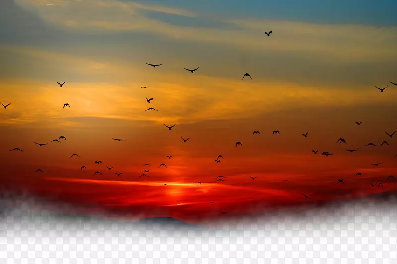 日落的天空云彩-鸟语花香下的夕阳