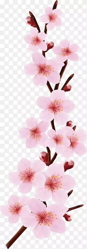 粉红花卉插花-樱花设计