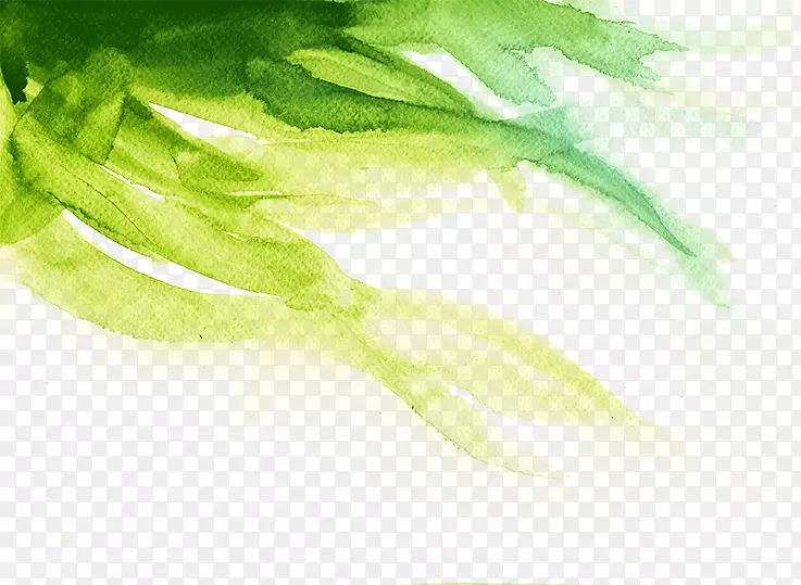 绿色水彩画插图.水笔刷
