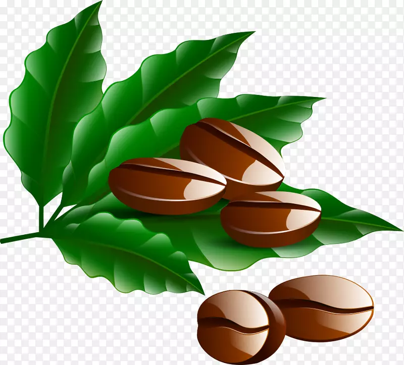 咖啡豆Kopi luwak-咖啡豆