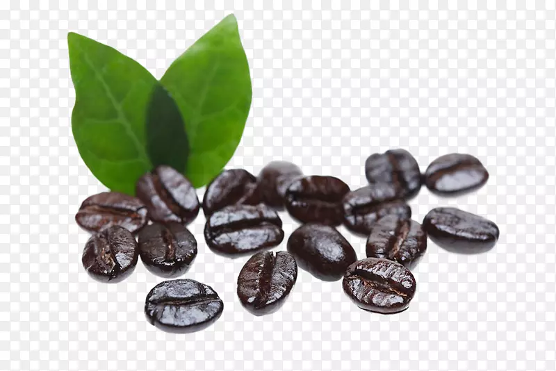 阿拉伯咖啡厅咖啡豆