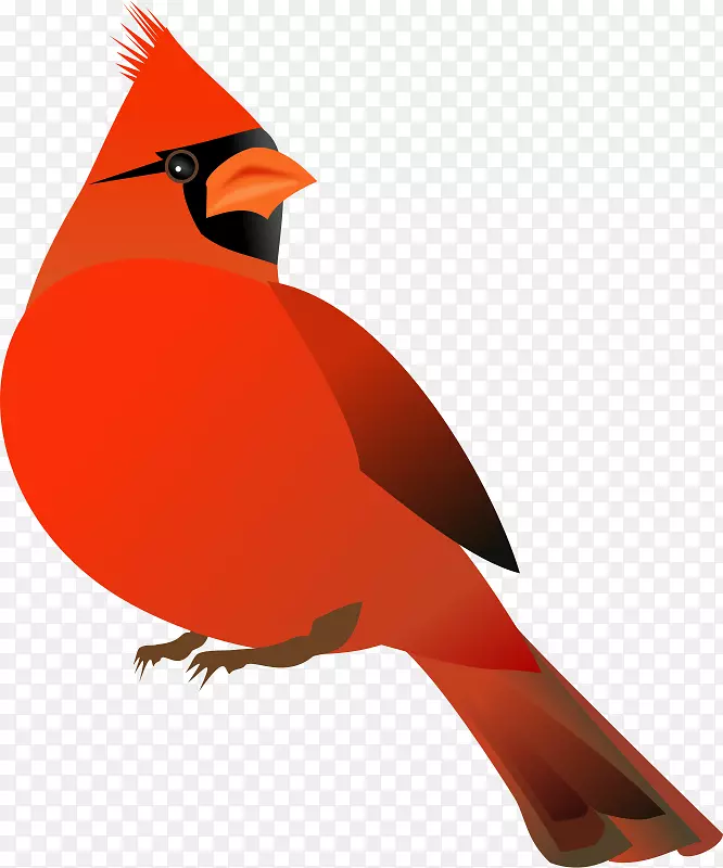 北方红衣主教免费内容网站剪贴画-卡通鹦鹉