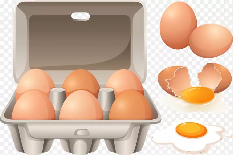 炒鸡蛋-鸡蛋盒-破裂的鸡蛋载体