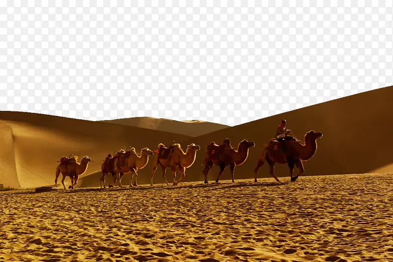 撒哈拉沙漠-新月湖图片