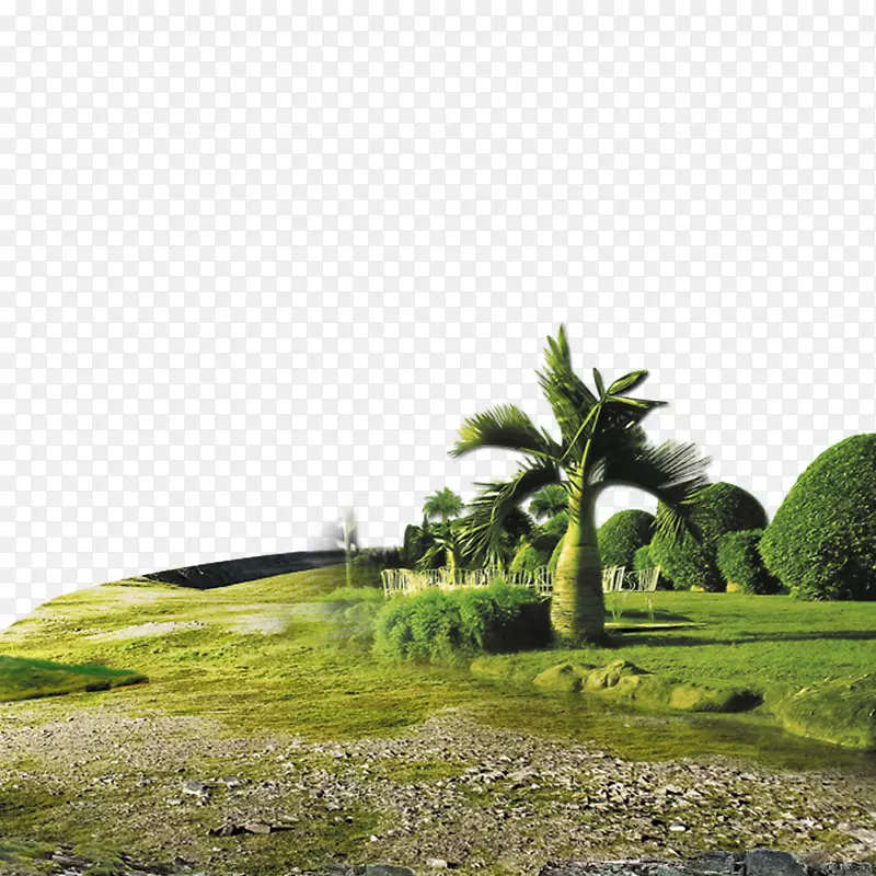巴厘岛海报旅游插图-绿色公园