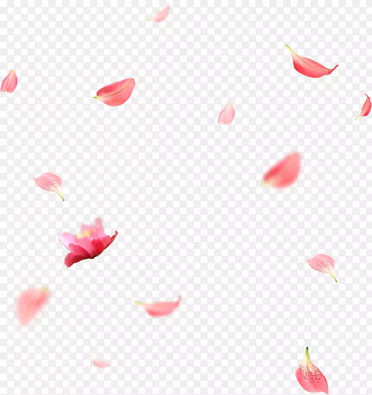 花瓣-有创意的婚礼花瓣飘落