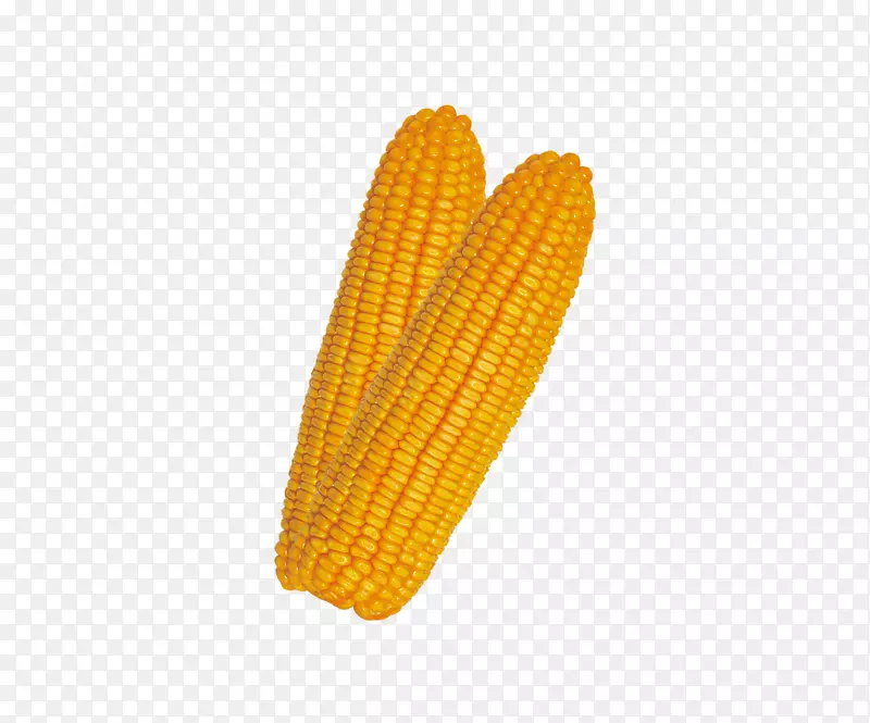 玉米上的玉米u 852cu679c-玉米