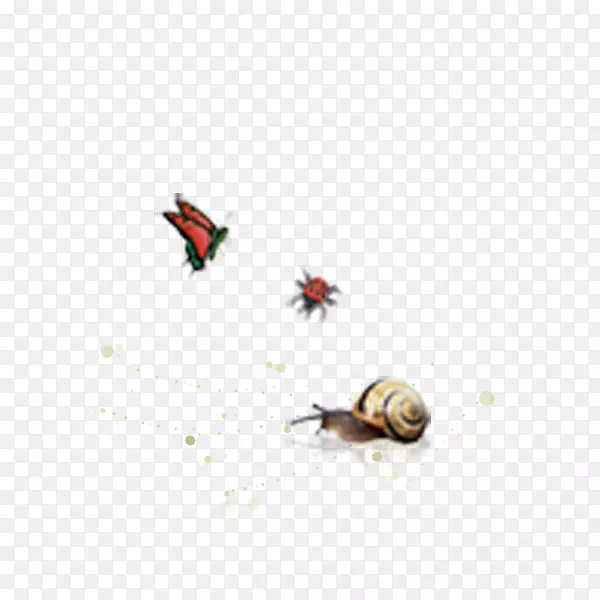 蝴蝶蜗牛-创造蝴蝶蜗牛