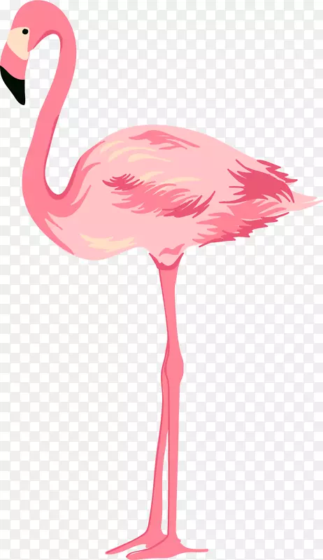 雪尼尼粉红手画的粉红天鹅