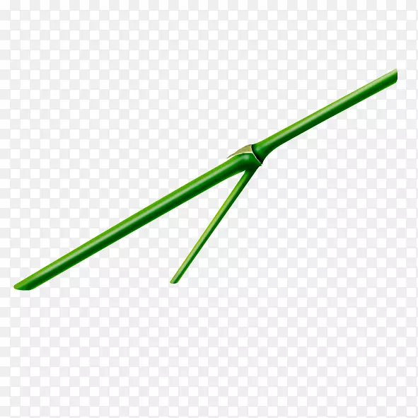 绿色材质角字体-竹子