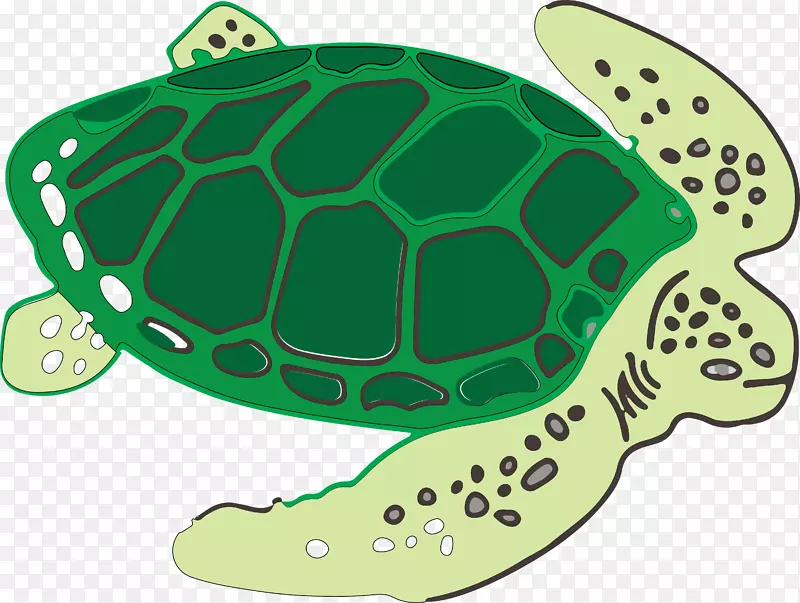 海龟-手绘千年龟