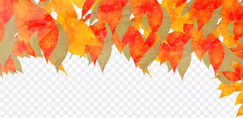 秋季水彩画落叶插图