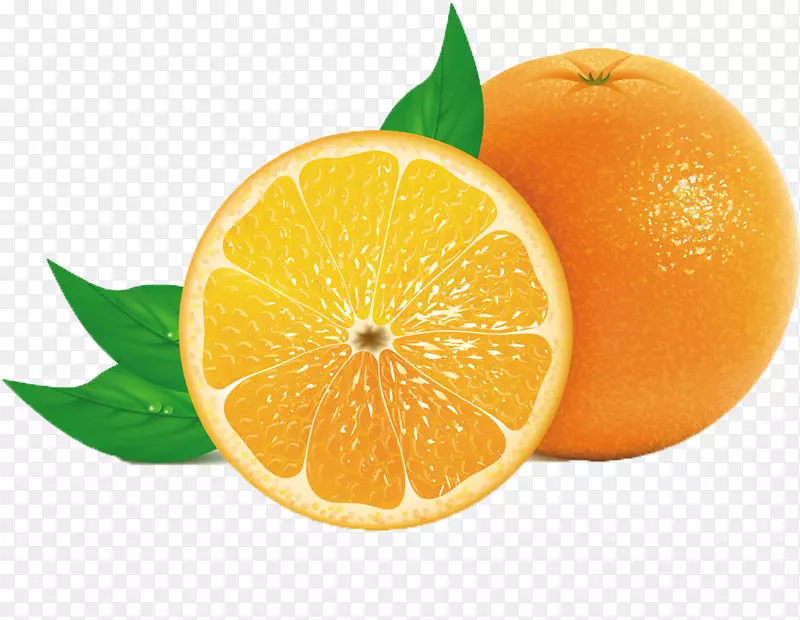 橙汁橘子-新鲜柠檬