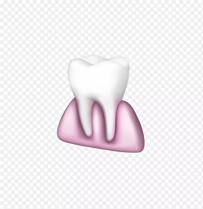 牙齿三维计算机图形下载-牙齿和牙龈