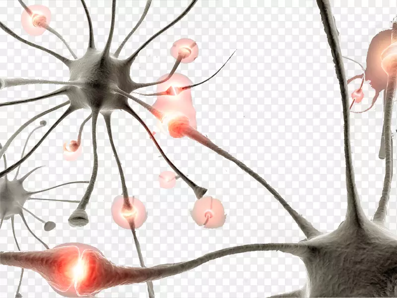人脑神经元突触神经系统-显微镜下的细菌和真菌
