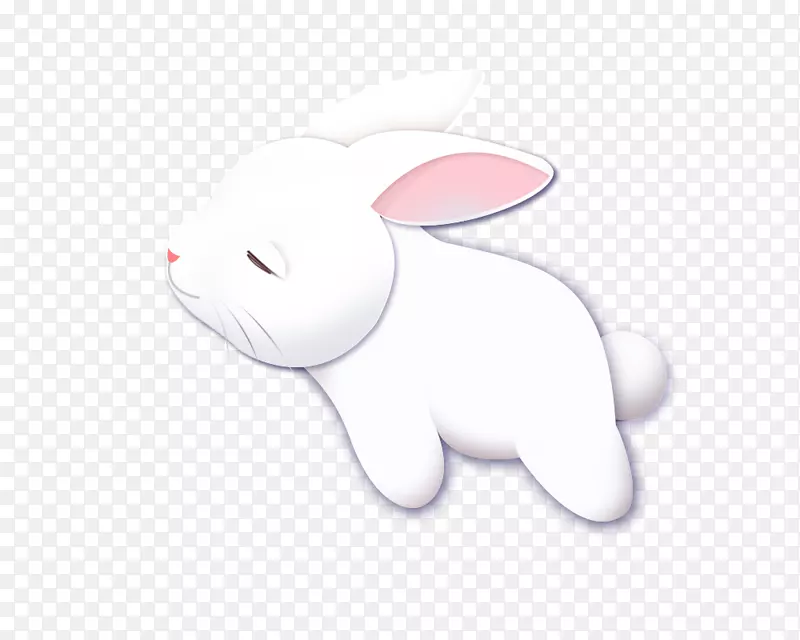 月亮兔-可爱的兔子
