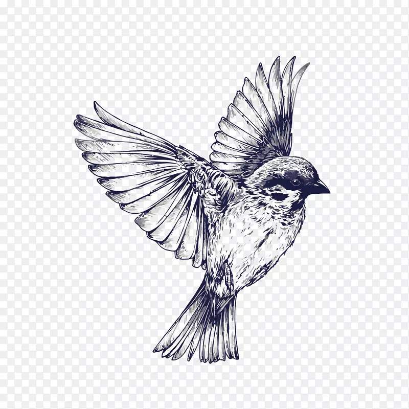 鸟类飞行纹身画燕子手绘麻雀