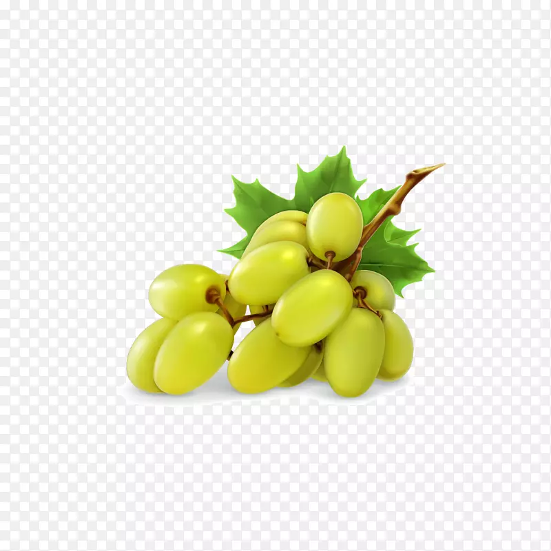 榨汁葡萄-一串绿色葡萄