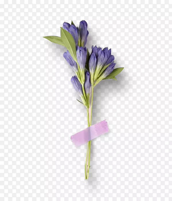 切花紫色花束