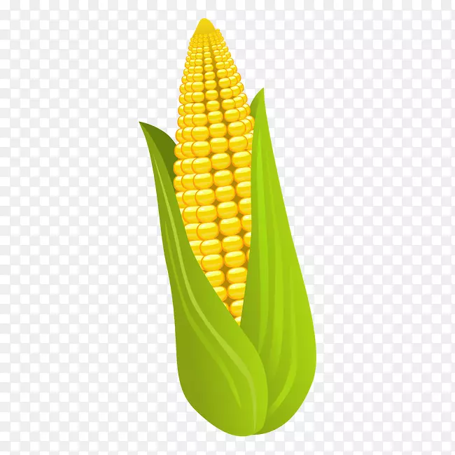 玉米-玉米