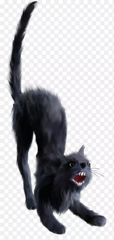 黑猫小猫剪贴画女巫猫