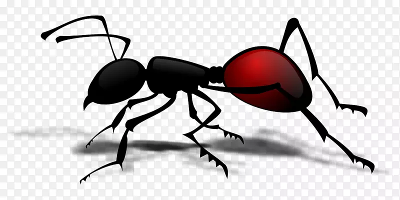 蚂蚁昆虫剪贴画-蚂蚁爬行