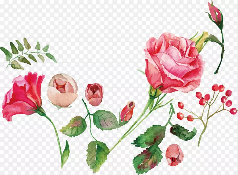 水彩画花玫瑰皇室-免费玫瑰海