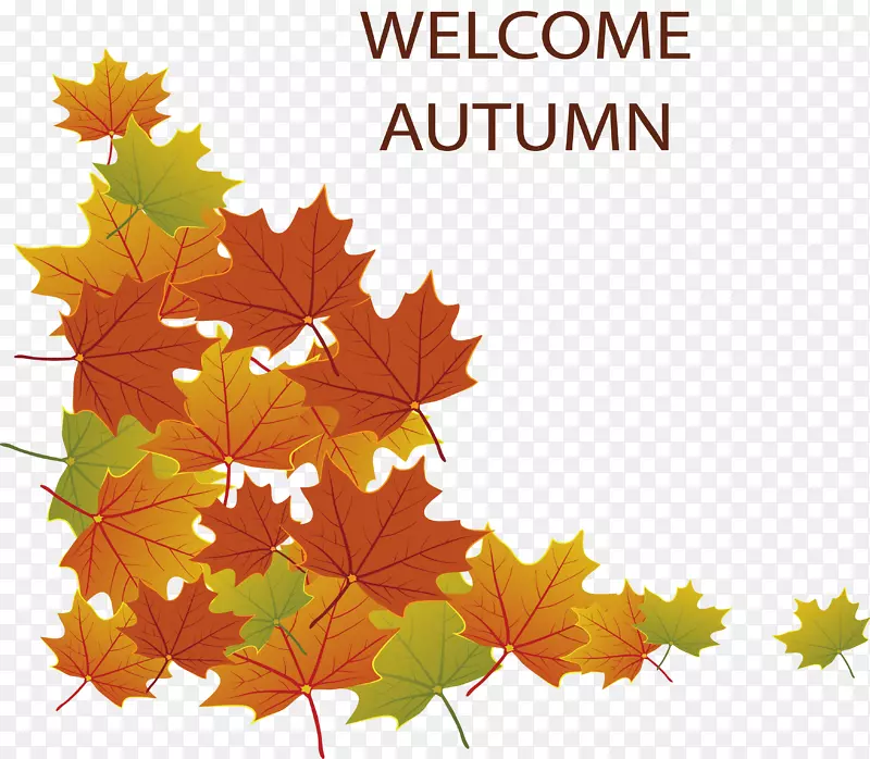 秋季海报-欢迎秋季海报