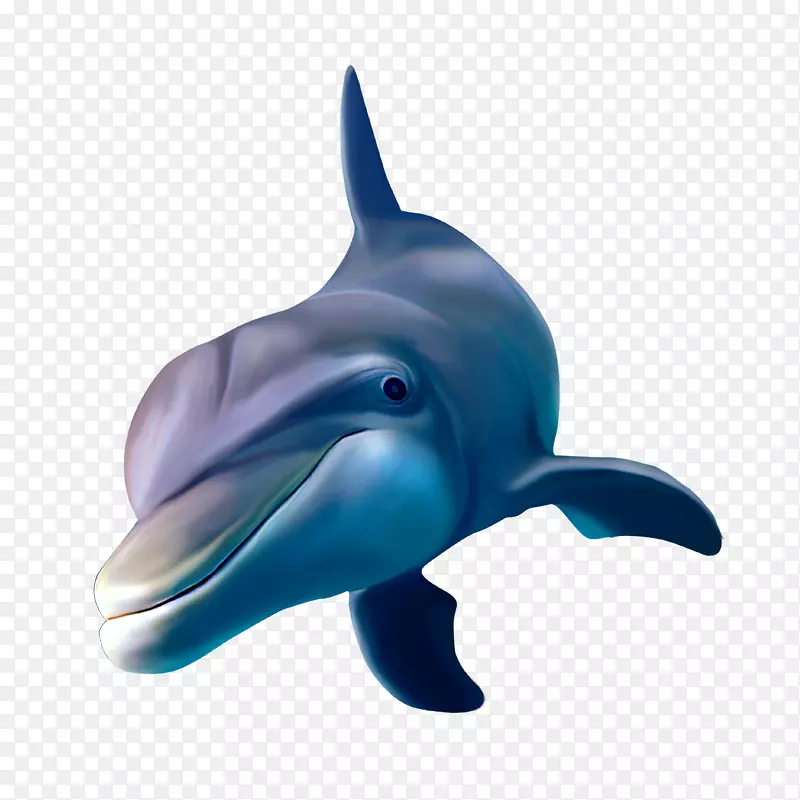 海豚鲸鱼海报-童话海豚
