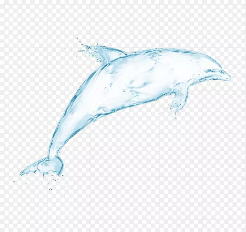 海豚画水滴壁纸-白鲸