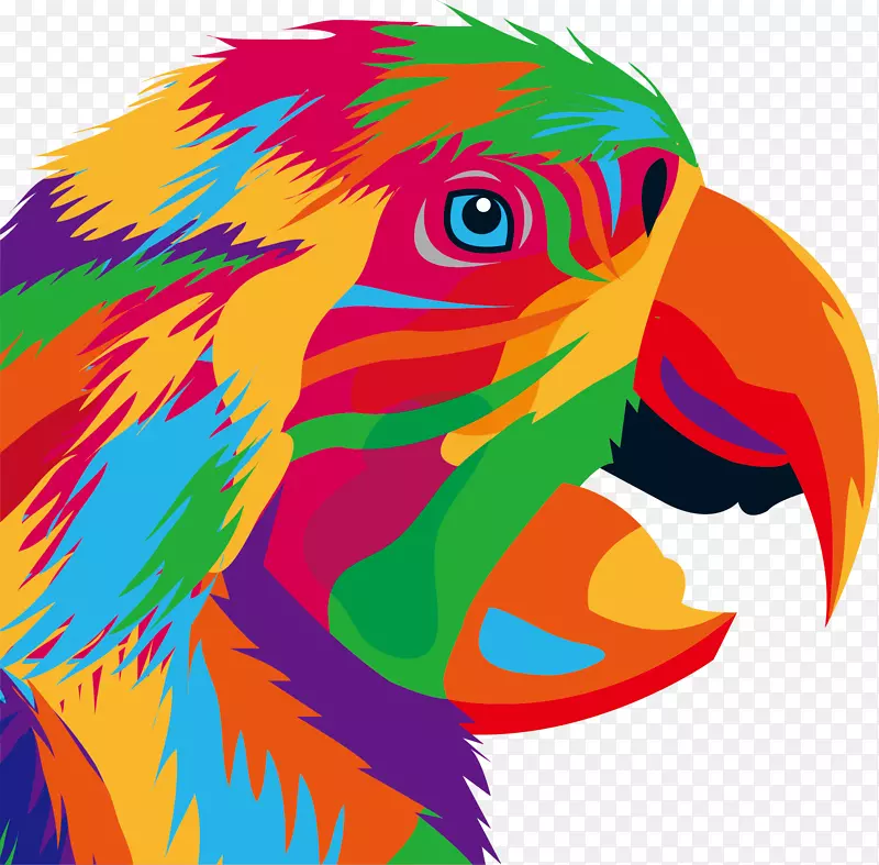 鹦鹉鸟画插图-个性涂鸦，鹰头肖像