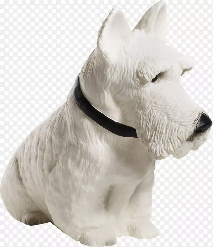 苏格兰猎犬西高地白色猎犬小型雪纳瑞瓷器浅白犬