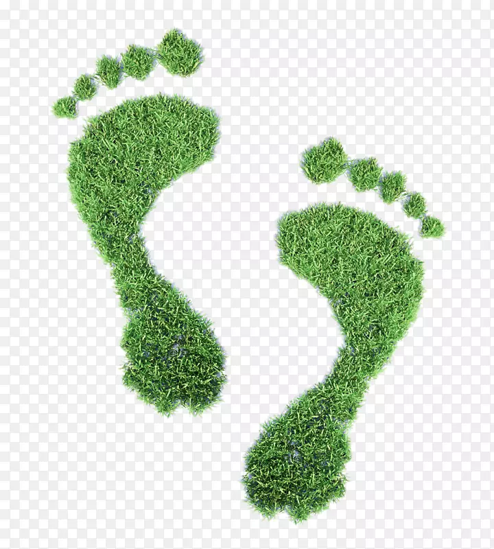 生态足迹生态碳足迹概念图-创造性草坪足迹
