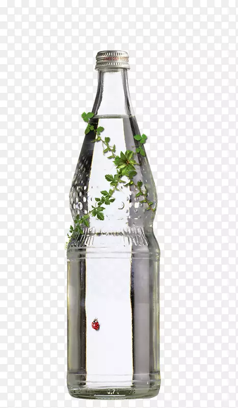 广告海报、平面设计传单-透明瓶子上的绿叶和瓢虫