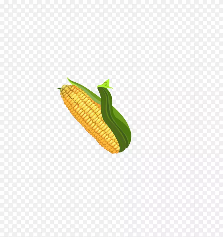 玉米-玉米