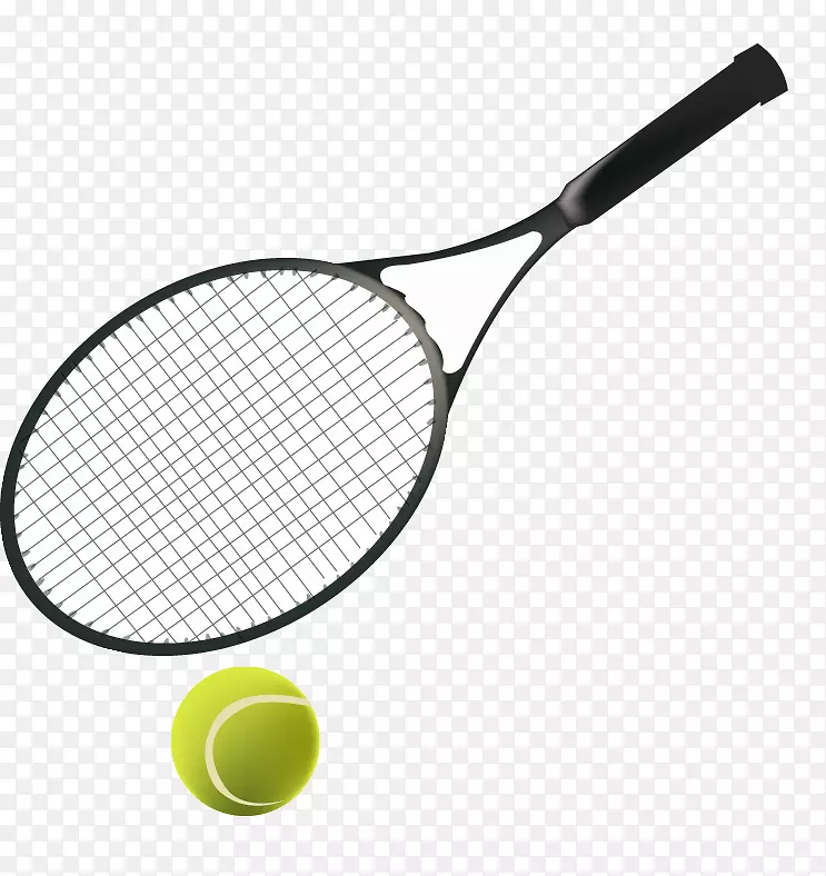 网球拍运动器材球绿网球