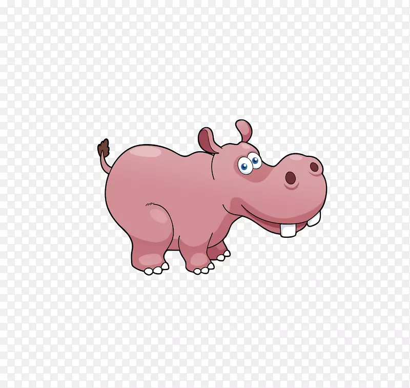 家猪河马动物动画-卡通河马