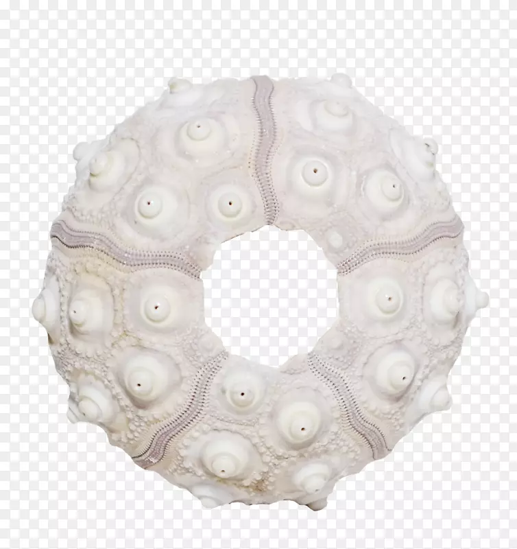 海螺创意海螺设计师-创意美丽的海螺环