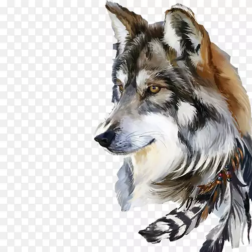 灰狼绘画艺术水彩画-狼化身材质图