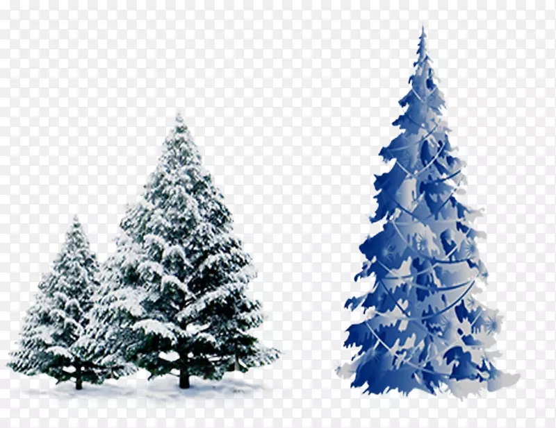 圣诞树，雪松云杉，雪松