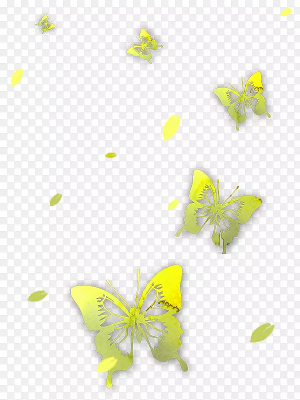 蝴蝶图标-蝴蝶花蝇