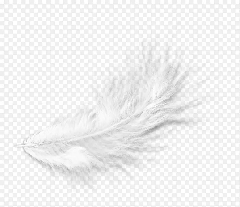 白色羽毛黑色图案-漂浮的白色羽毛毛