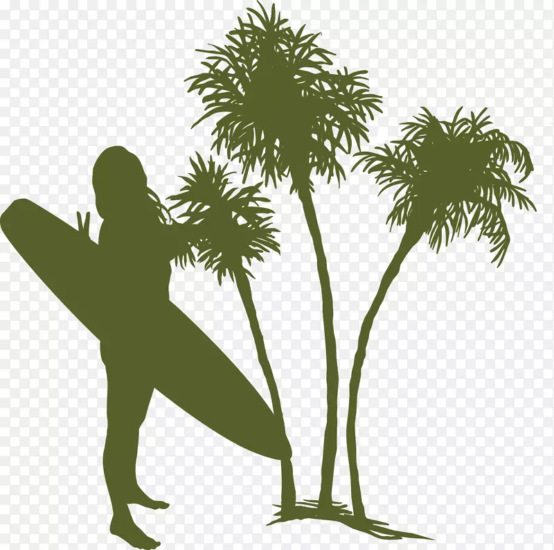树椰子女冲浪板夏季椰子树材料
