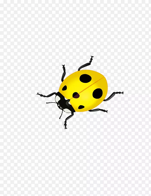 大众甲壳虫-黄瓢虫
