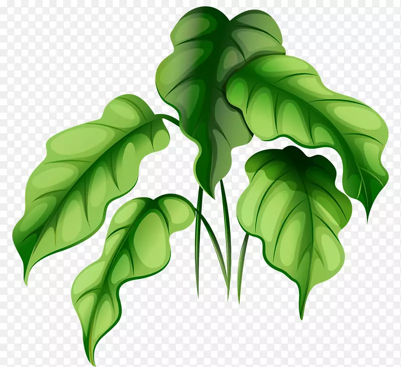 植物版税-免费绿色插图-西瓜叶图案